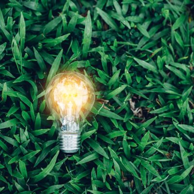 Energy Procurement​-service-Efficiency Direct-Brighton